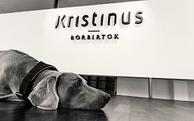 Kristinus Borbirtok